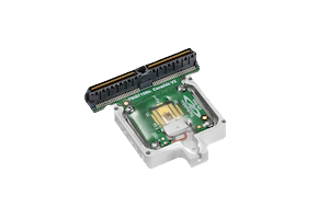 2024_Phononfirst_004-2